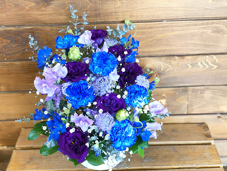 青 紫系 写真集 花のエース